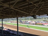 2016 TREX Day at the Races Santa Anita 4.2.2016 Pic 3.JPG