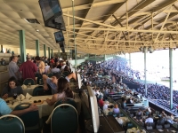 2016 TREX Day at the Races Santa Anita 4.2.2016 Pic 2.JPG