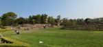 20210816_085336.jpg