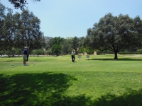 2014 Armenian Open (40).JPG